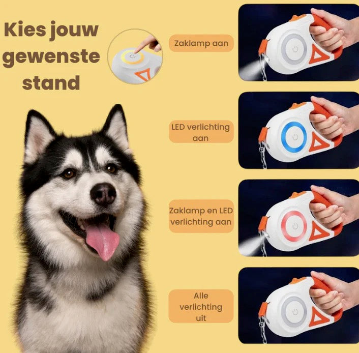 Retractable Dog Leash with LED Light